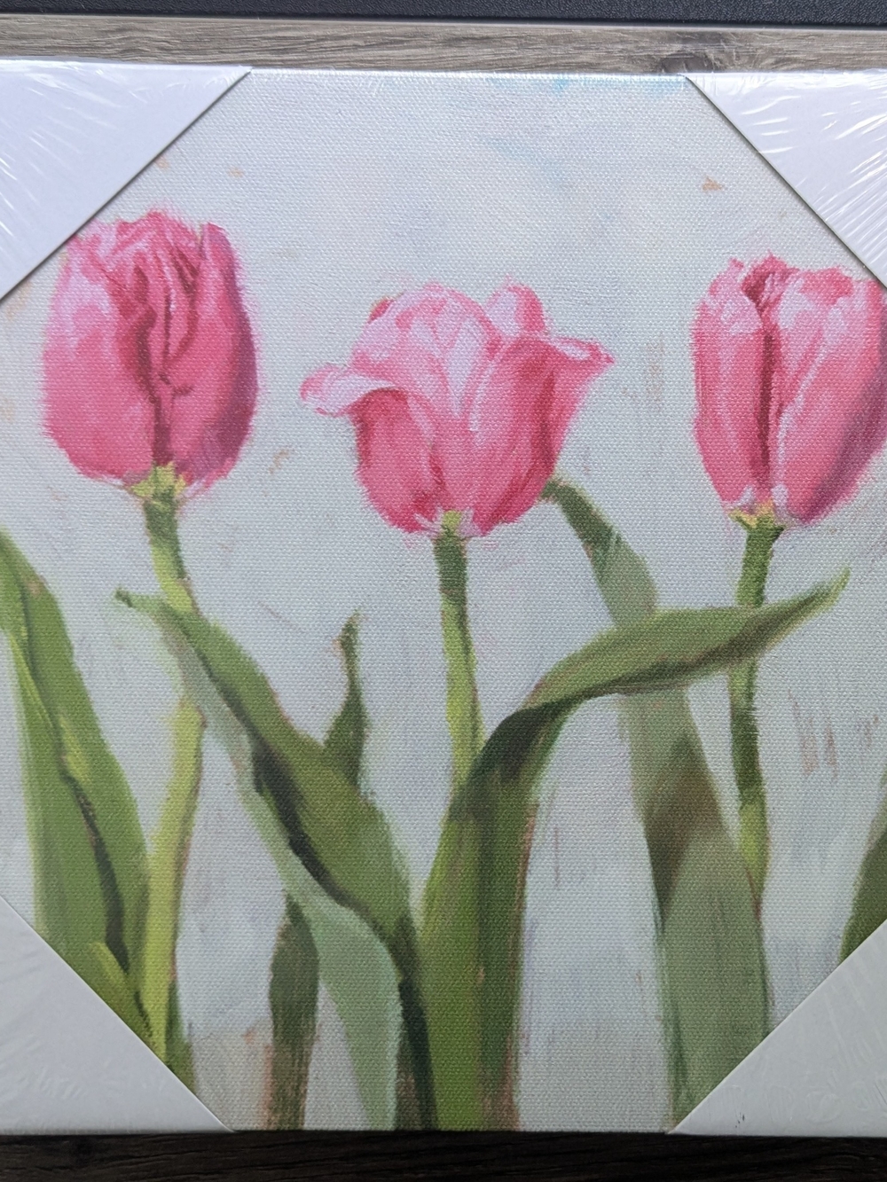 Pink Tulip Canvas Wall Art - Home Decor
